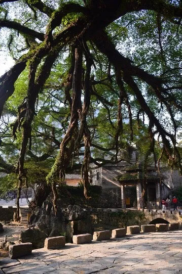 博皓游記 | 夏風(fēng)微醺的綺夢(mèng)，領(lǐng)略賀州黃姚古鎮(zhèn)、姑婆山閑憩之美-12