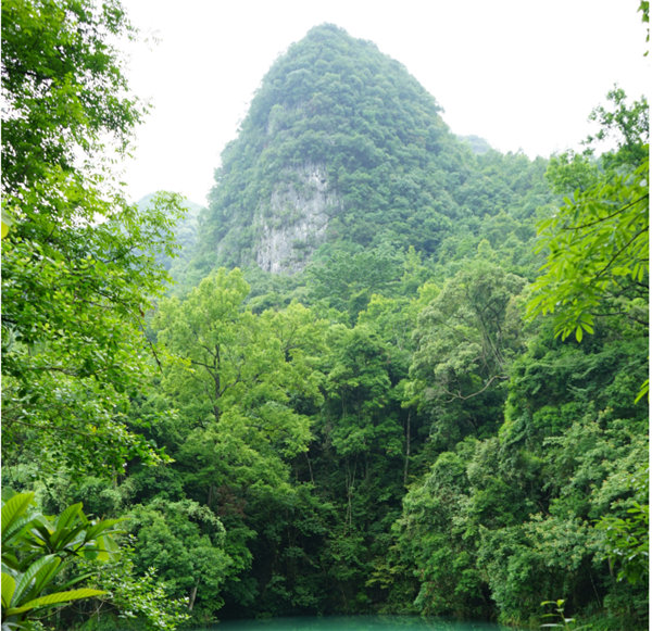 賞華夏大地，游多彩貴州-－2021年廣東博皓快樂行-2