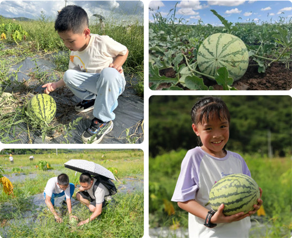 趣游盛夏，一路童行—2024年廣東博皓親子游   -12