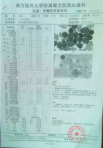 高俊的血液、骨髓檢查報(bào)告單